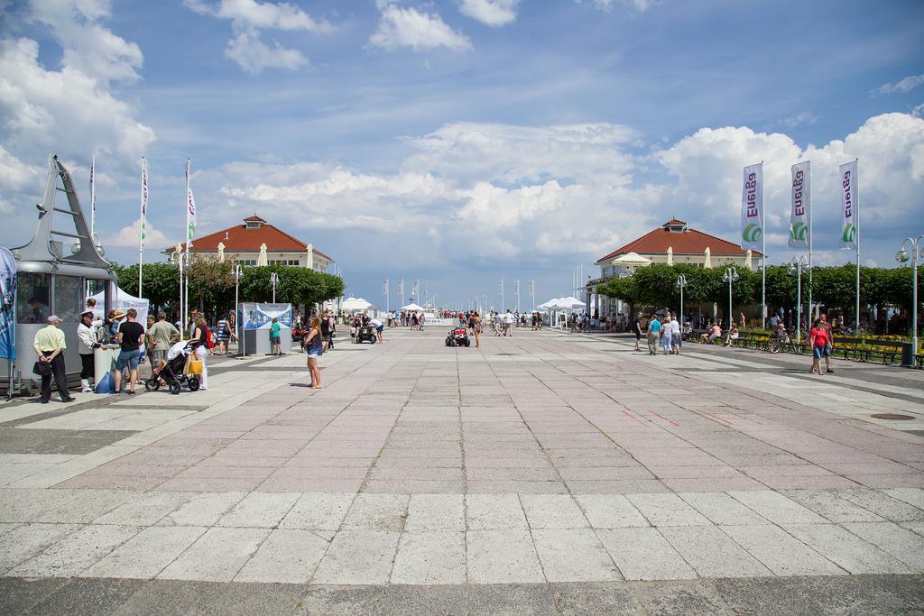Проживання в сім'ї Point